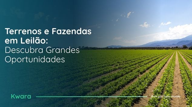 De terrenos à fazendas em leilão: As oportunidades de ouro do momento! 