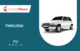 Leilão Grupo Fleury - Veículo 