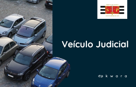 Leilão Judicial de Veículo