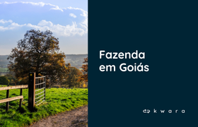 Leilão de Fazenda em Itapuranga/GO
