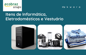 Leilão de Itens de Informática, Eletrodoméstico, Vestuário e Outros - Ecobraz
