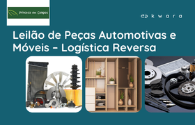 Leilão de Peças Automotivas e Móveis - Princesa dos Campos