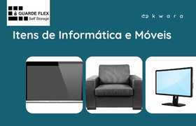 Leilão de Itens de Informática, Móveis e Outros - Guarde Flex
